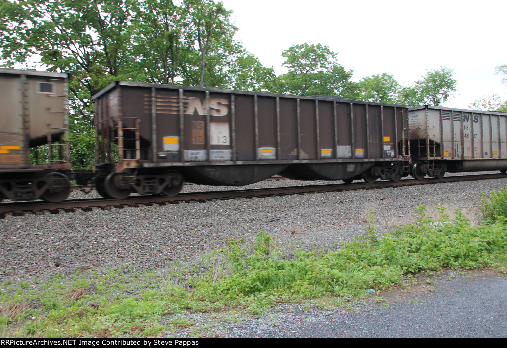 NS 10113